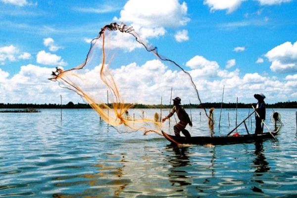 <p style="text-align: center;"><strong><span style="font-size: 14pt;">Thủy sản</span></strong></p>